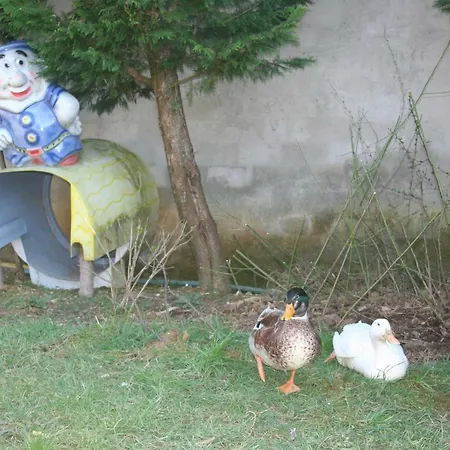 Camlibahce *